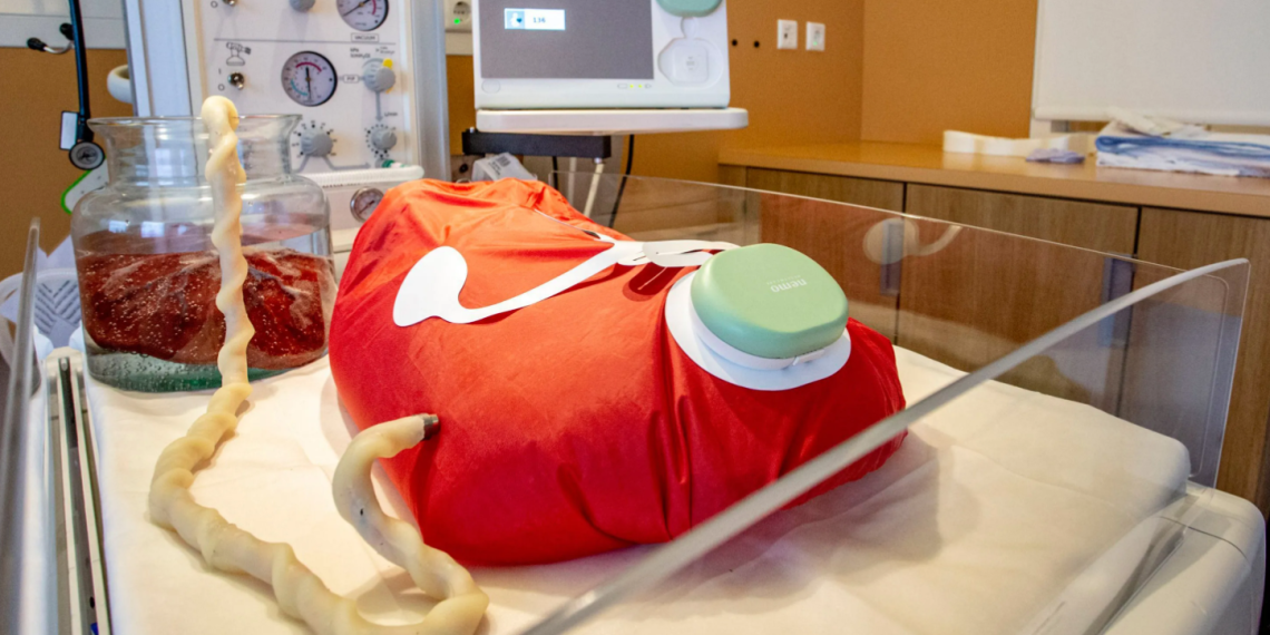 The Artificial Womb: Technology Gone Too Far
