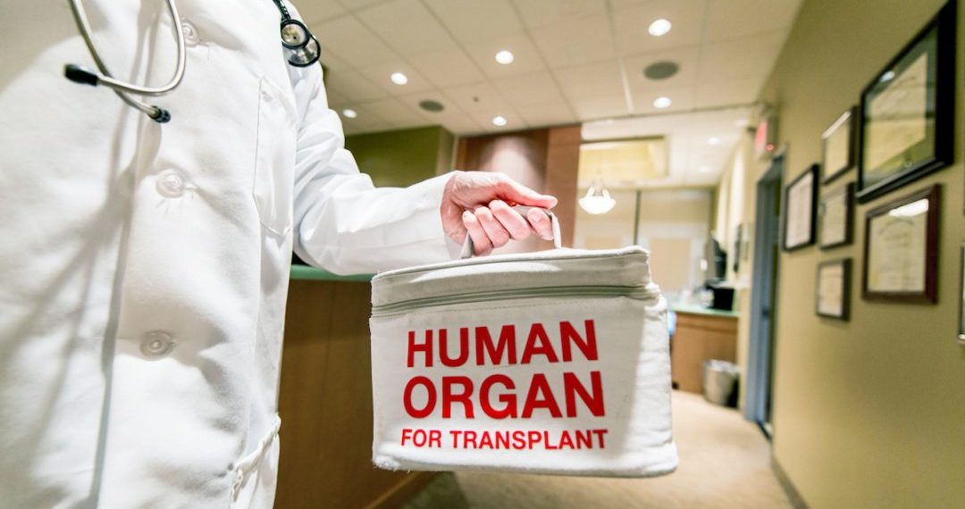 Canadian Doctors: Why Not Take Organs From Live Assisted-suicide Patients?